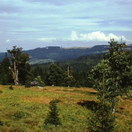 Appartement Spacious Holiday In The Southern Bavarian Forest With Balcony