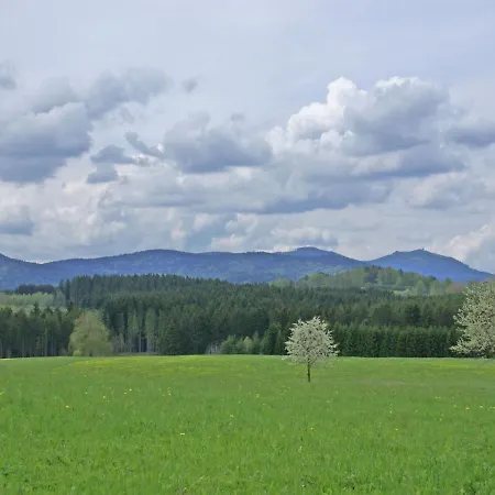 Appartement Spacious Holiday In The Southern Bavarian Forest With Balcony Lindberg