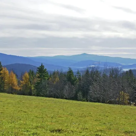 Spacious Holiday In The Southern Bavarian Forest With Balcony *