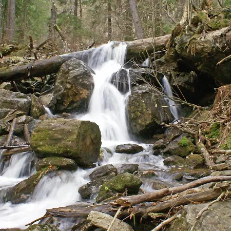 Spacious Holiday In The Southern Bavarian Forest With Balcony *