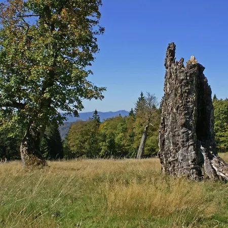 Spacious Holiday In The Southern Bavarian Forest With Balcony Appartement *